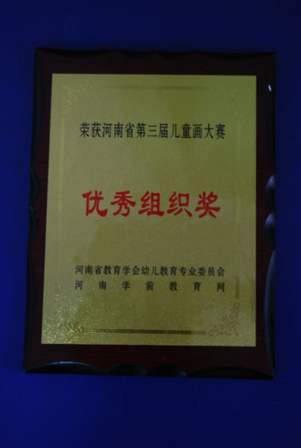 河南省儿童画大赛优秀组织奖