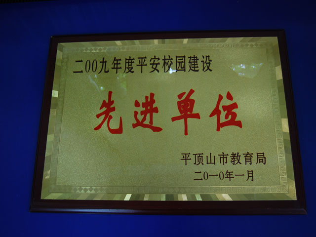平安校园先进单位