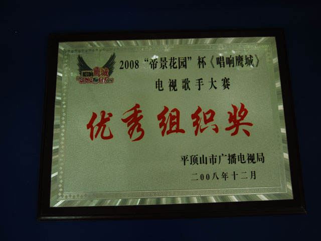 电视歌手大赛优秀组织奖